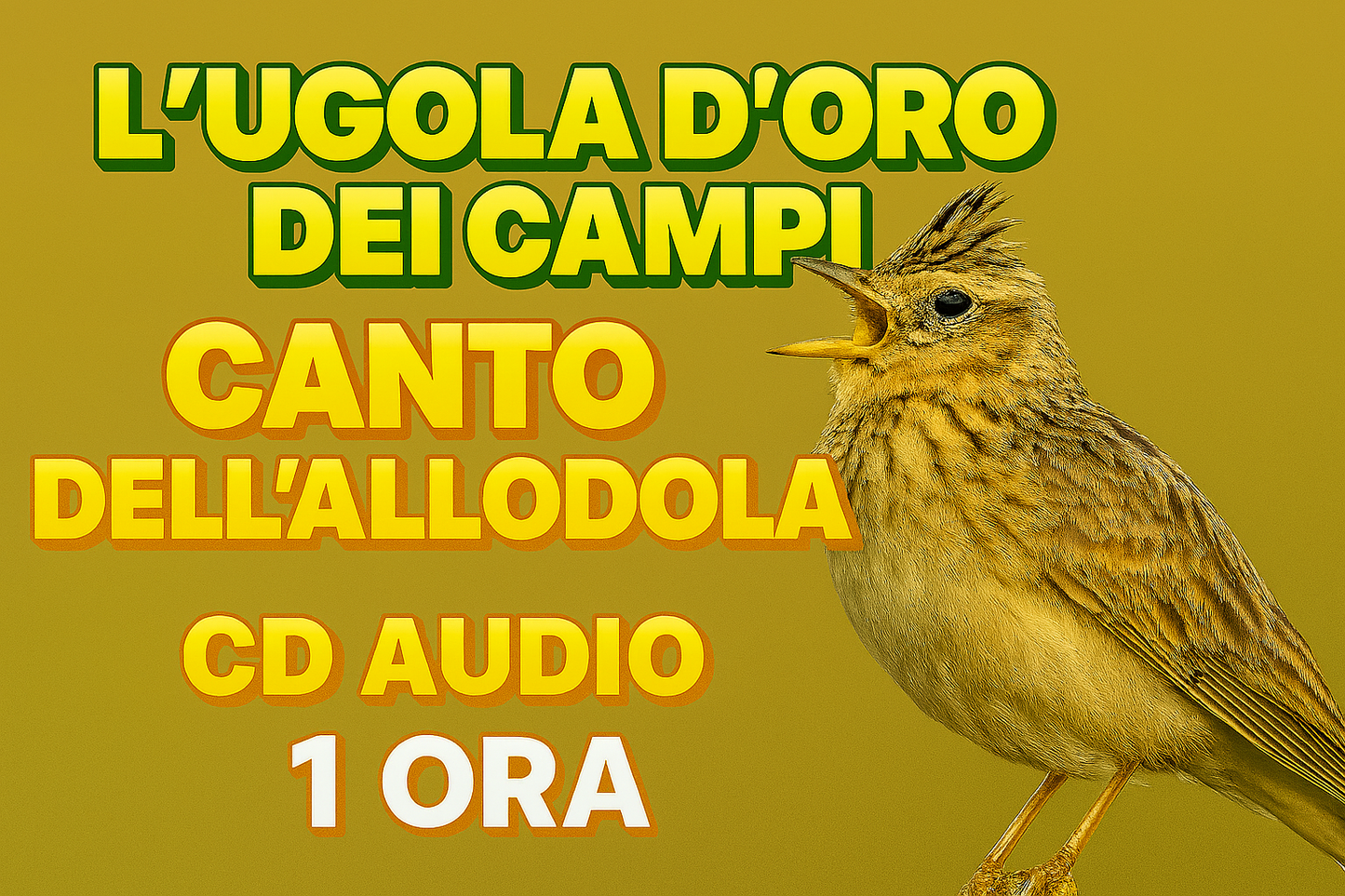 CANTO DELL'ALLODOLA L'UGOLA D'ORO DEI CAMPI 1 ORA IN FORMATO MP3 PRONTO PER IL DOWNLOAD
