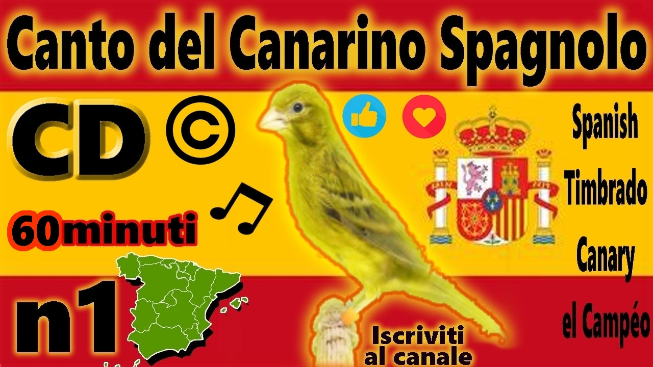 IL CANTO DEL CANARINO SPAGNOLO TIMBRADO UDIO LIMPIDISSIMO EL CAMPEON MP3 DIGITALE INSTANT DOWNLOAD