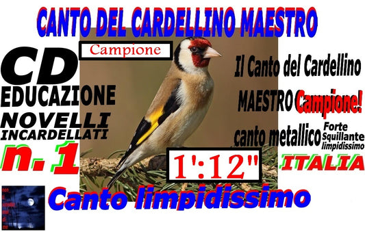 IL CANTO DEL CARDELLINO MAESTRO (F1) 2020 CD AUDIO LIMPIDISSIMO MP3 DIGITALE INSTANT DOWNLOAD