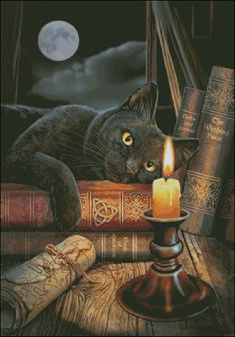 Schema punto croce SAGA PDF + XSD HALLOWEEN sweet little witch black CAT cross stitch book witch candle moon dmc pattern keeper da stampare