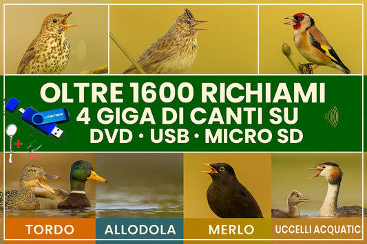MEGA RACCOLTA 1600 RICHIAMI UCCELLI IN MP3 CARDELLINO TORDO MERLO ANATRA 4 GB DOWNLOAD