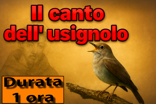 IL CANTO DELL'USIGNOLO SAN FRANCESCO PRESEPE NATALE LEGGENDA 1 ORA IN FORMATO MP3 PRONTO PER IL DOWNLOAD